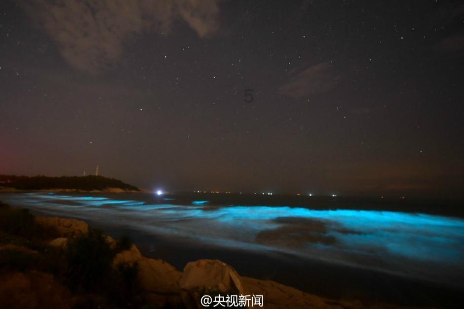 集装箱货运船